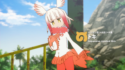 Kemono Friends / Episode 3 / Japanese Crested Ibis introducing herself